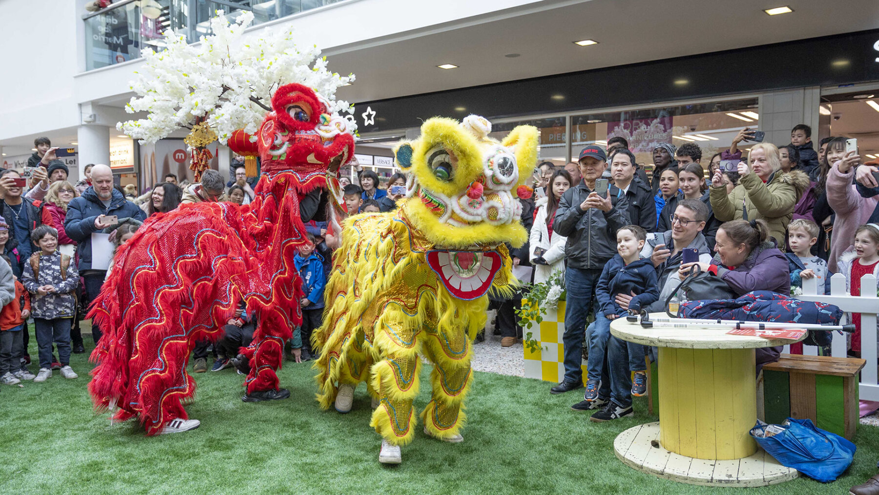 Chinese New Year Celebrations at the Merrion Centre