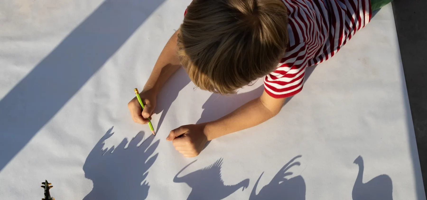 October Half Term including Shadow Art at Leeds City Museum